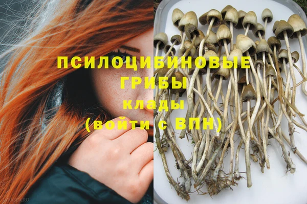кокаин Алексин
