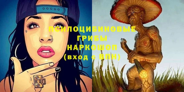прущая мука Алзамай