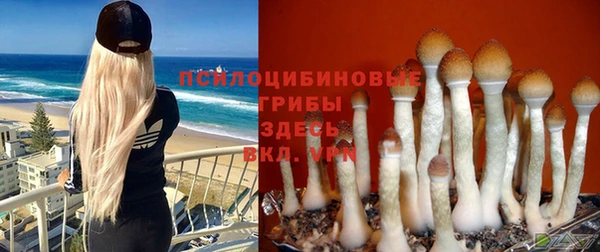 дурь Покачи